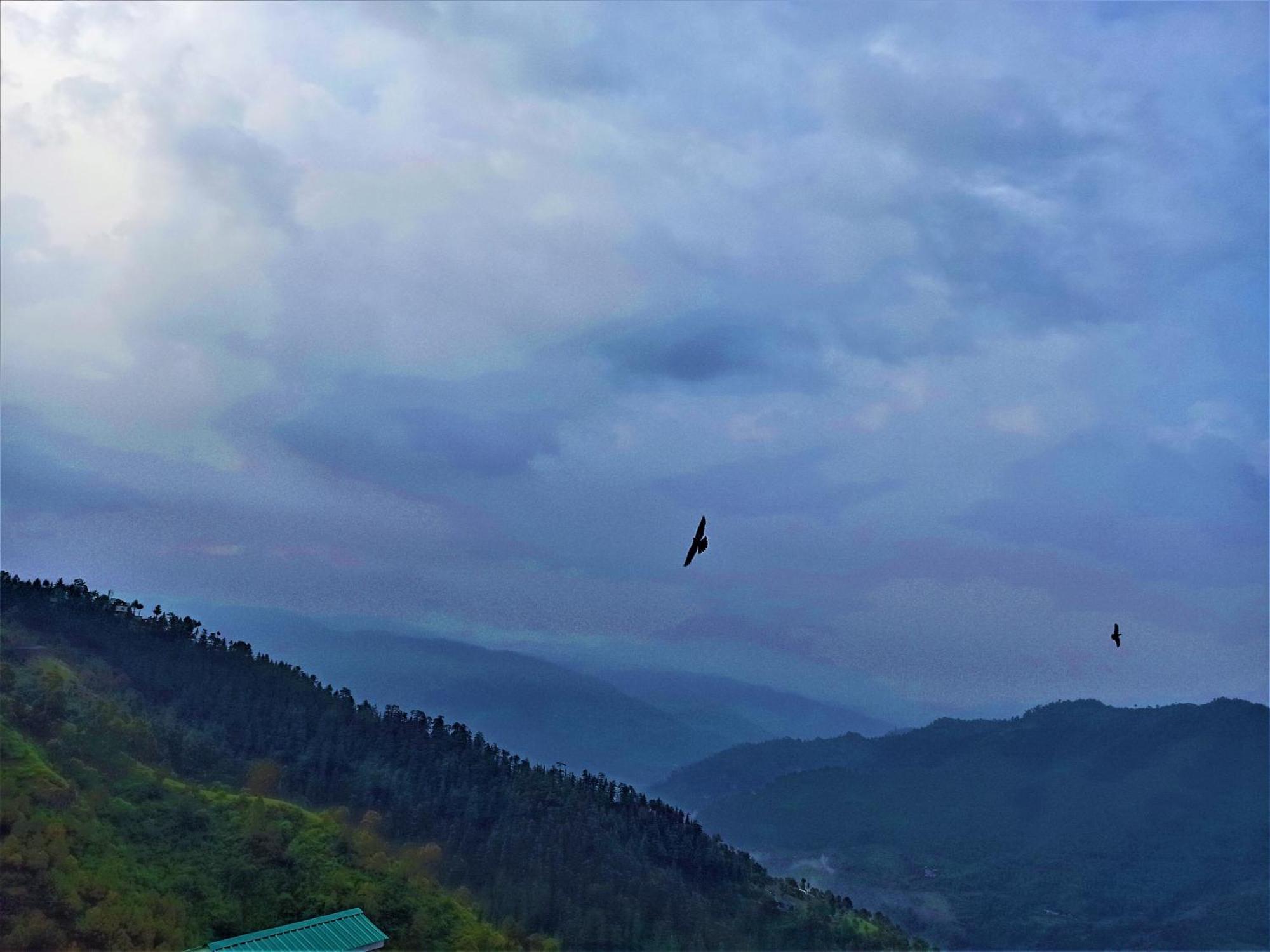 Ferienwohnung Mountain And Peace Shimla Exterior foto